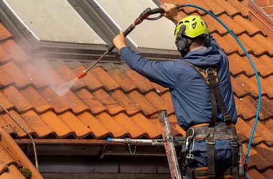 Démoussage et hydrofuge de toiture à Brignais